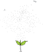 hero-sunburn-network