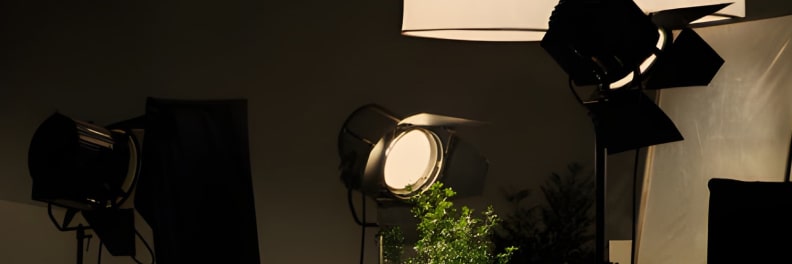 media-entertainment-ban